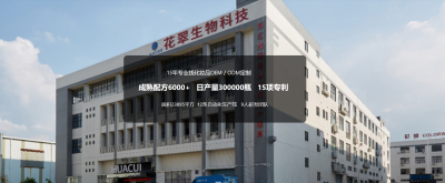 Company Introduction
